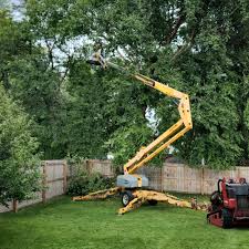 Best Tree Preservation Services  in Gibbstown, NJ